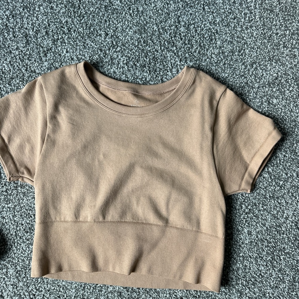 Zara Tan Short Sleeve Tee
